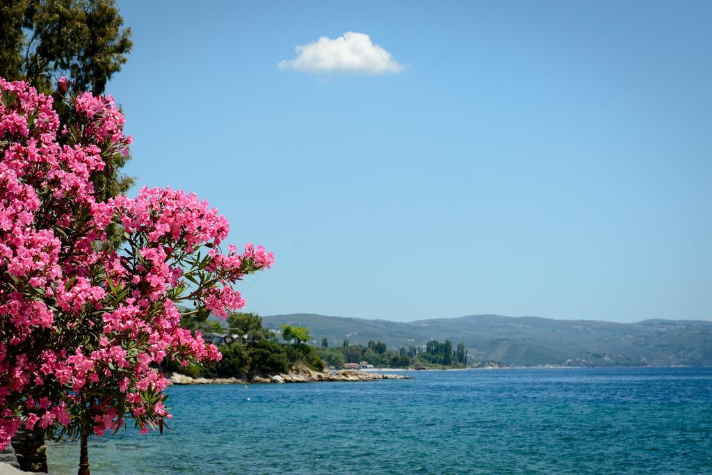 Gatzea Villas Κάτω Γατζέα Εξωτερικό φωτογραφία